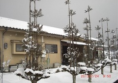 2今年一番の大雪です