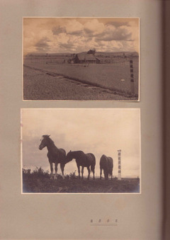 ［世木澤翁　記念帖］p26-1