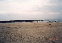 〔丹後①〕930422-5