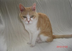 明治国際医療大学付属病院 5月12日~21日:入院