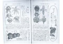 p3【婦女界. 38(5)】昭和3年