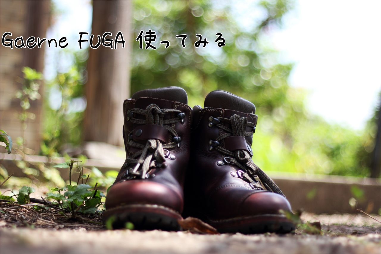 GAERNE FUGA ガエルネ フーガ ナットブラウン 28cm GAERNE フーガ
