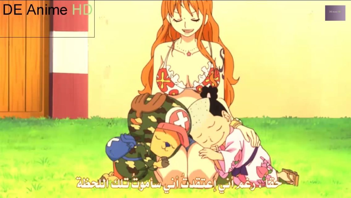 One Pieceアニメ日記 かずりなのブログ