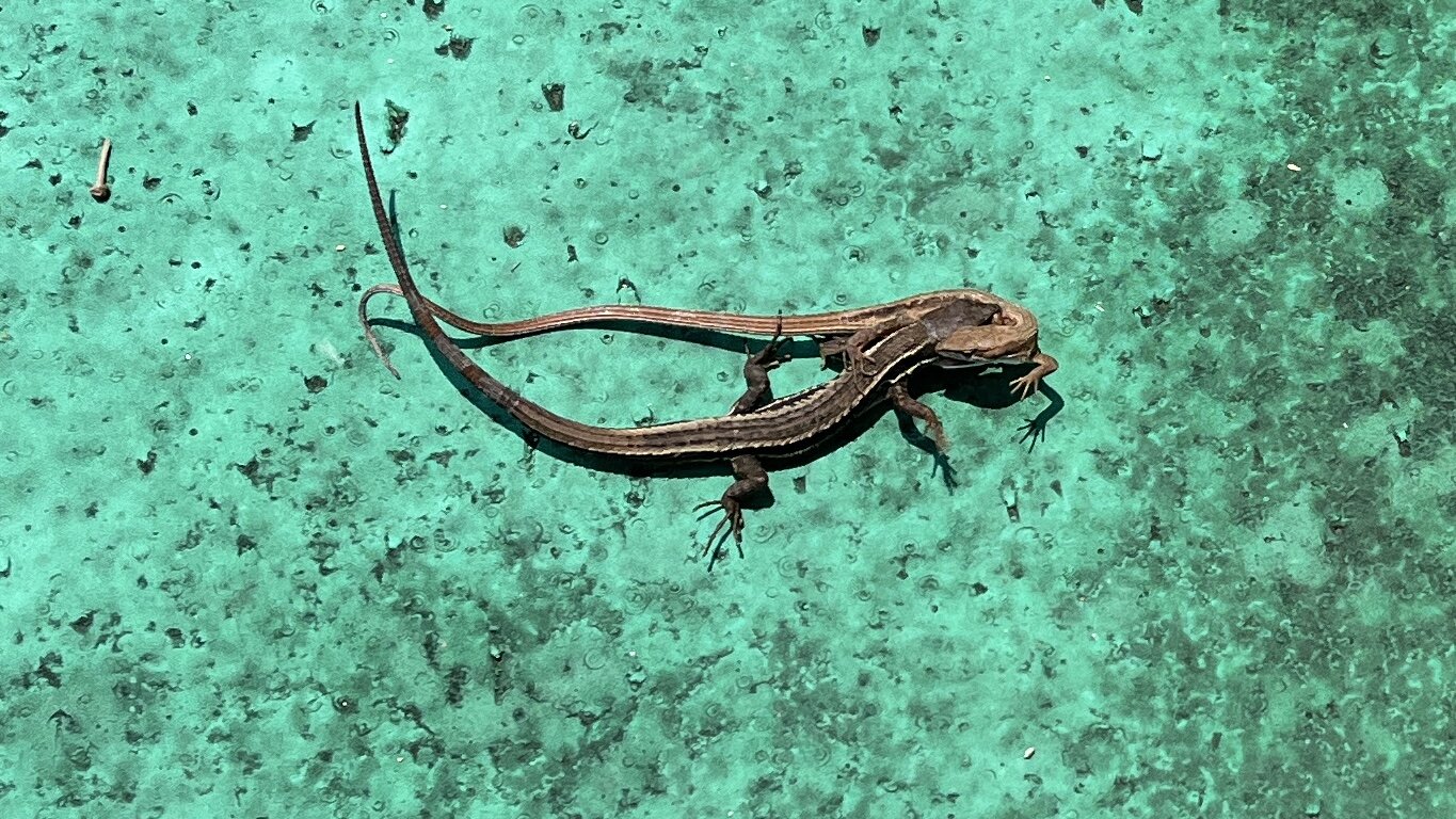 7AEF26CE-C595-4D94-B9C0-5F9BA61EC9A9