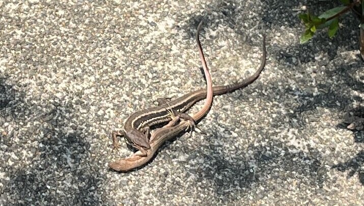 E19C83DB-0C4B-4087-BDA0-1A47178E83CF