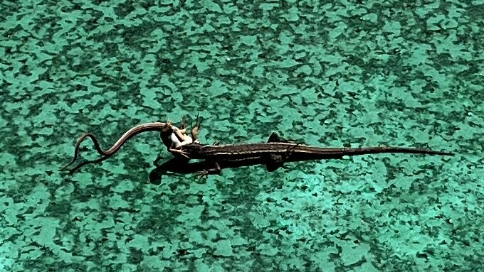 582BD4AC-4B4F-459A-8B8E-543C02E22599