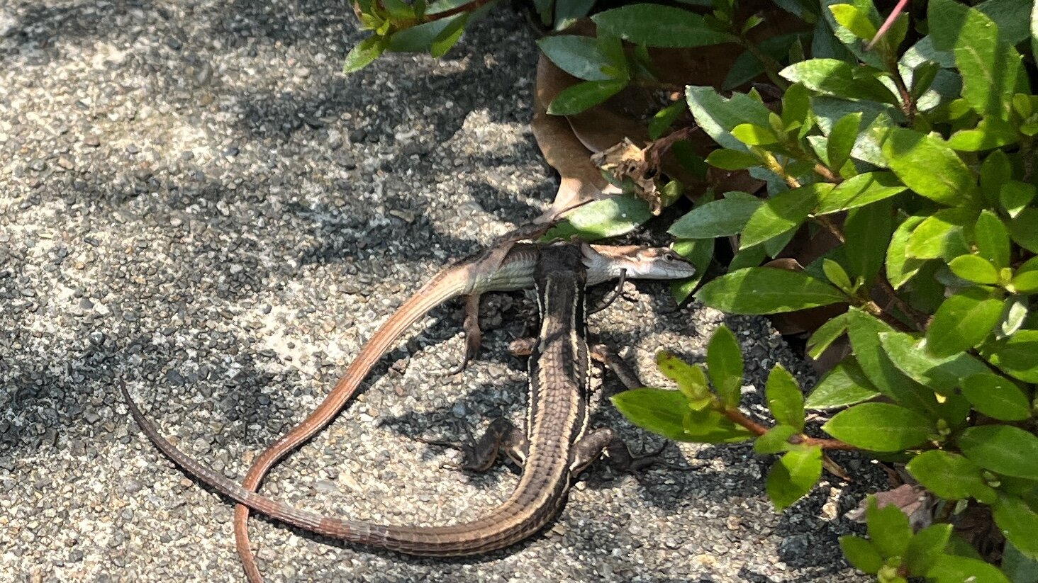 DFCE8841-D176-4F0B-B5A5-CDAB9DC0448A