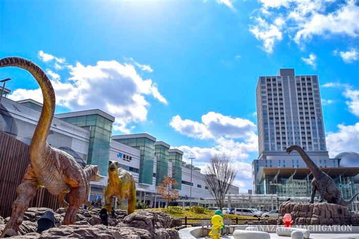 20170303_0487_thumb-1