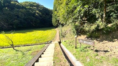 IMG_9839