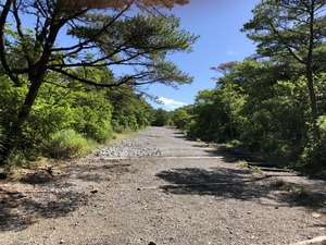 IMG_3912