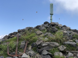 IMG_3954