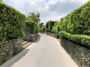 IMG_4026