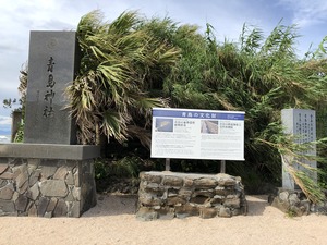 IMG_3868