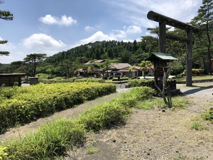 IMG_3979