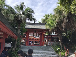IMG_3872