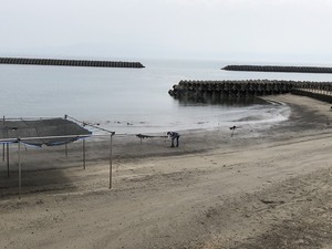 IMG_4011