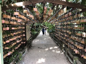 IMG_3877