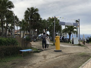 IMG_3881