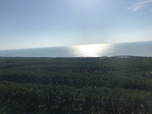 IMG_3904