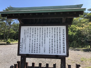IMG_3911