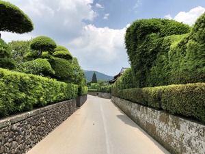 IMG_4027