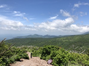 IMG_3925