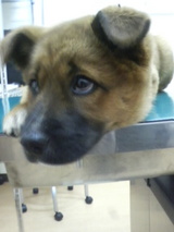 �������±���