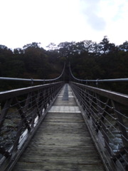 ���Ĵ��ߤ궶