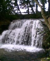 �ʤ��Τ��Ϥ餳�ɤⲿ�Ǥ��θ���