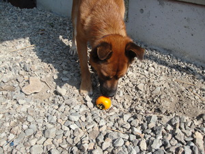 �������Τ���Ĥ�