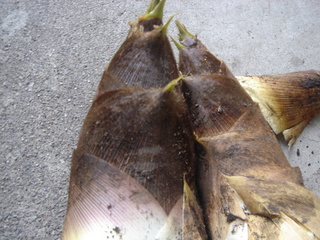 �����Τ�