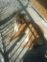 ���� ������