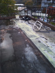 �������ɿ��ĥ���ؤ�����