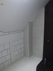 �����롼��Υ�����Ž��