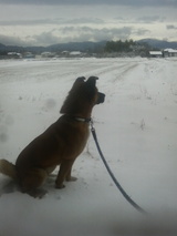 �ޤ��ޤ�����