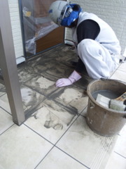 ����������ϵͤ���