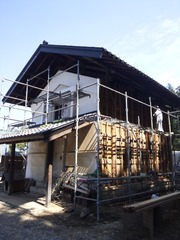 ��100ǯĶ����¢ ��������