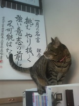 �����̾��