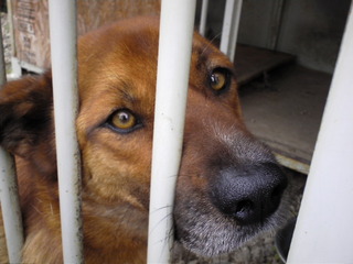 �פ��֤�ˤ������о�