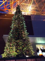 12��ο���ŷ̿������