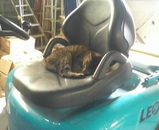 �ۡ�����եȤǤ��뿲