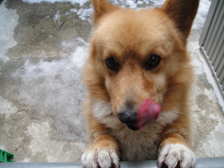 ������ε���