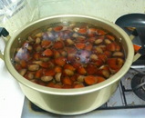 觤Ǥޤ�����