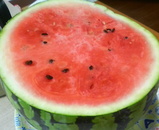 ��ǯ�ϡ�����ǺǸ�