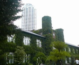 �������դä�