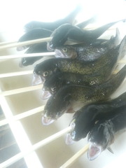 ���פ����