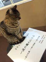 ��ή�ο��ͤˤʤ�