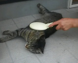 �פ��֤�ˤޤĤ�