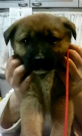 ��������²