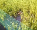 �����϶��ϻȤ�ʤ�